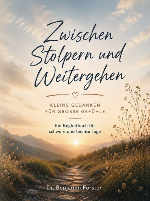 Cover: Zwischen Stolpern und Weitergehen
